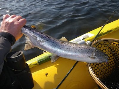 100405_SV_nedgaeanger_hl.jpg