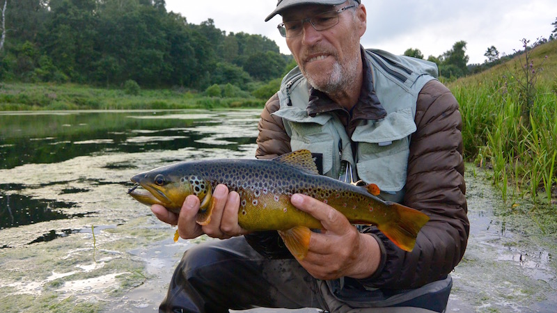 150728_milldam_hl_brown_trout.jpg