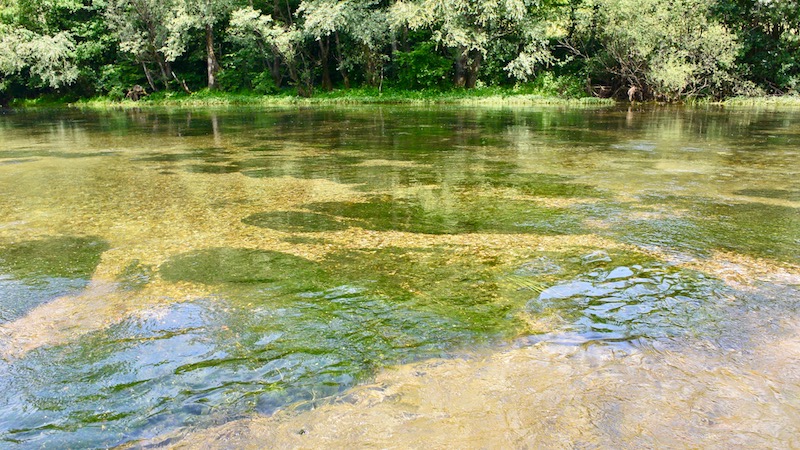 Ripnik, Bosnien 170606 ripnik clearwater