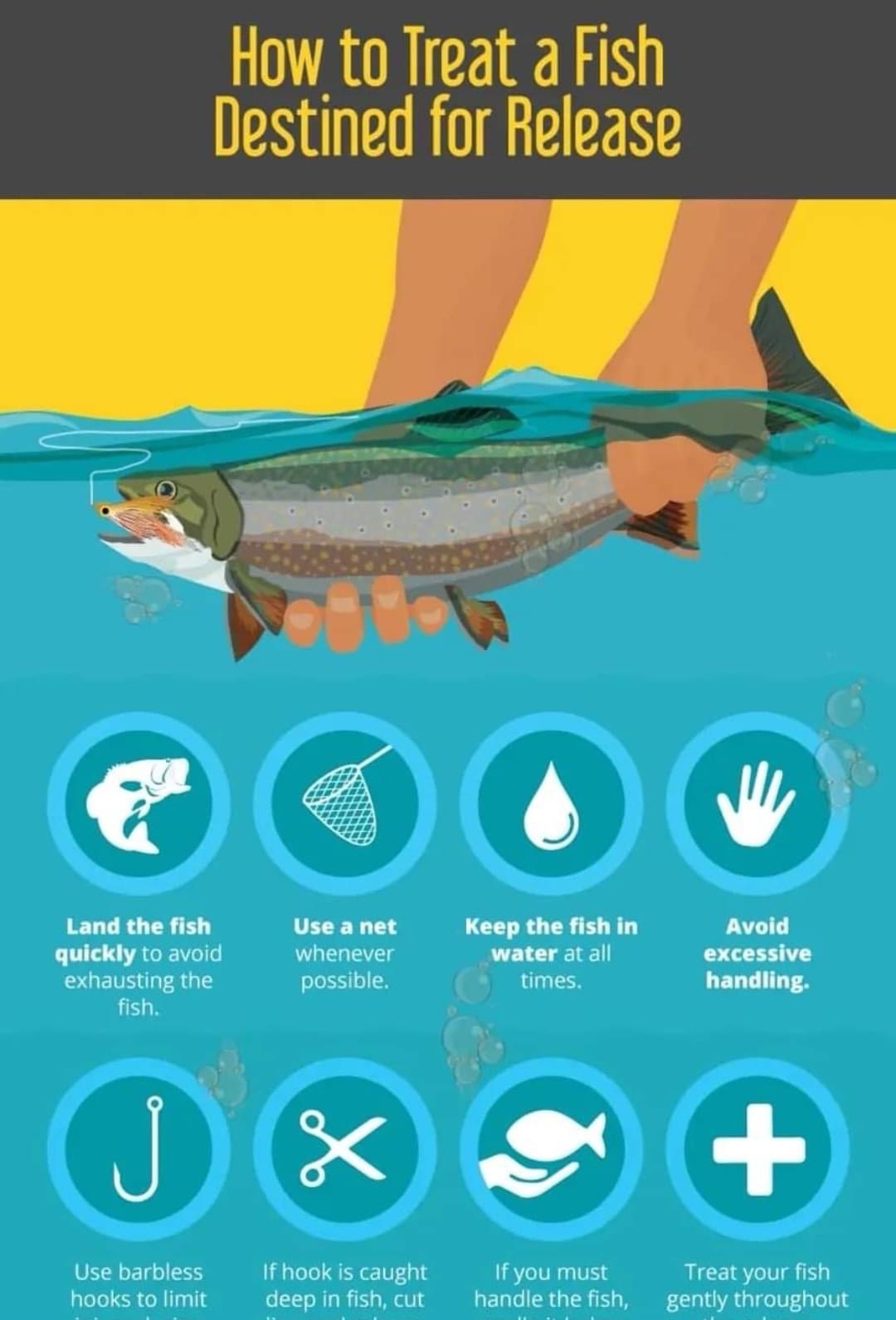 catch release
