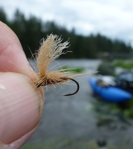 110712_HL_flue_orred