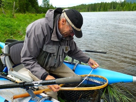 110716_hl_ikke_sosyg