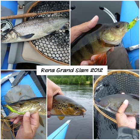 rena.4.1
