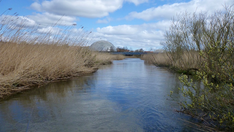 Gudenaaen randers kanal regnskov
