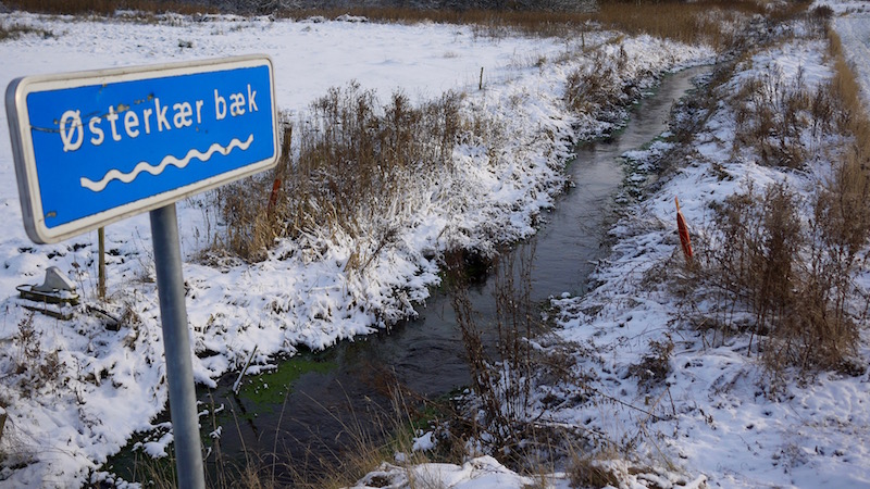 Glenstrup Eastestream seatrout