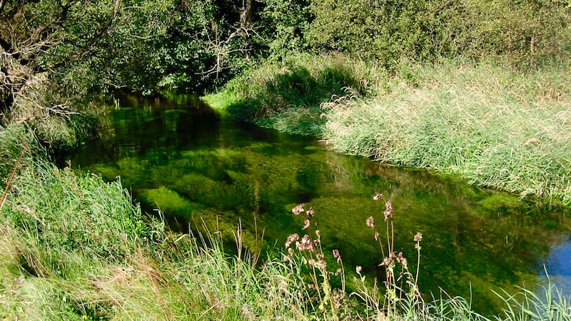 Seatrout standpladser