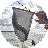 Fisketure året rundt - altid opdateret!