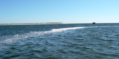 Strømskel - en yndet plads for multer