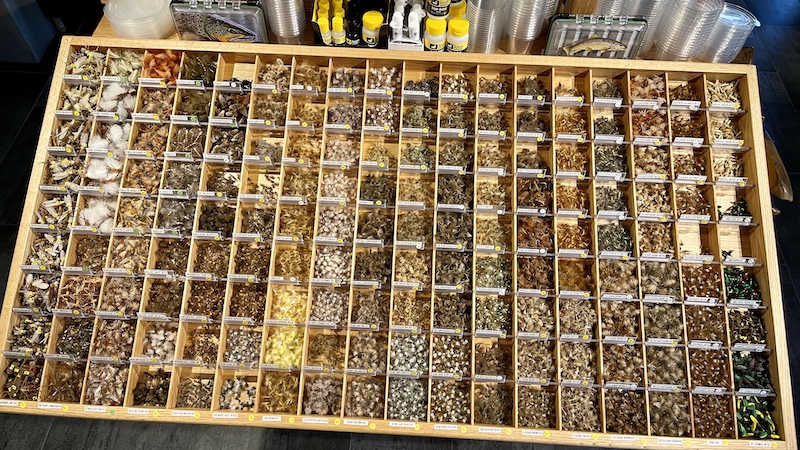 220226 guide flue valg