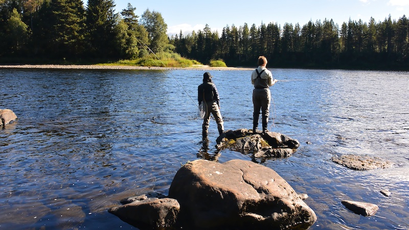 Glomma hanna lene vadefisk