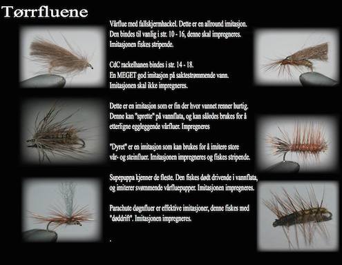 staffan dry fly rena