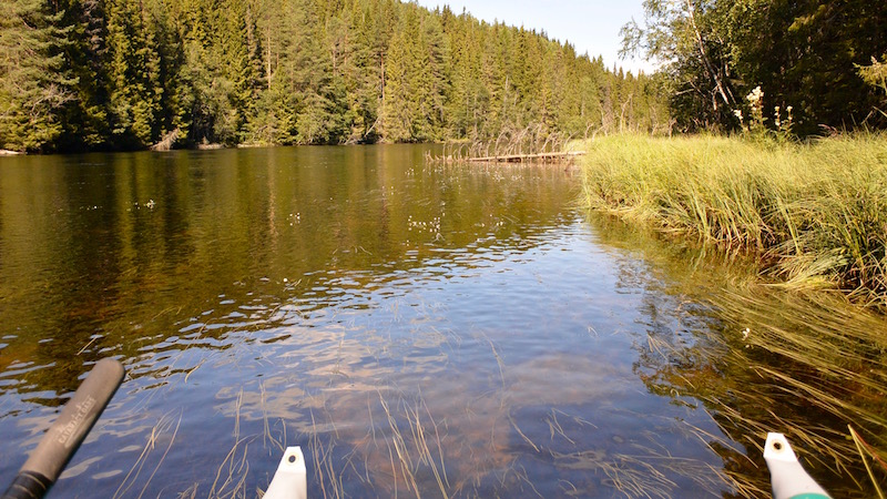 800 450 Rena upstream deset august