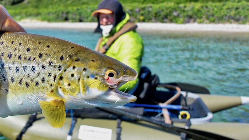 djursland esby trout