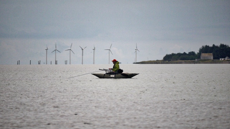 djursland fjellerup fiskeri windmills