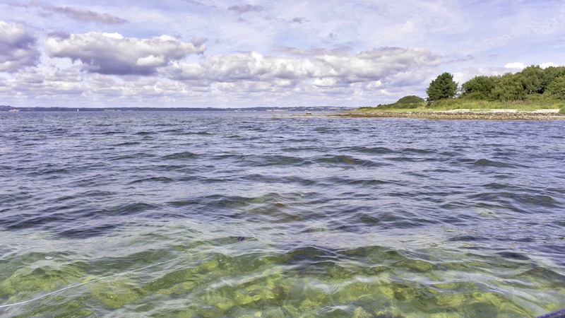 djursland knebelvig rev