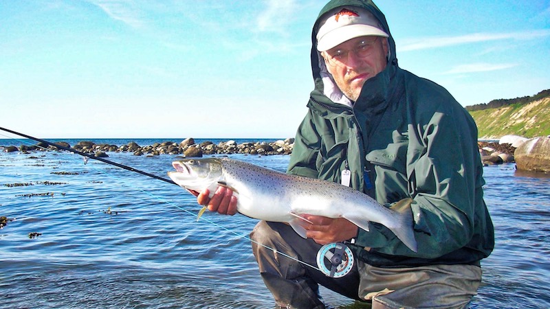 djursland kobberhagen hl fish