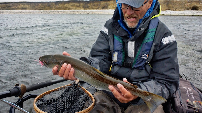 djursland stensgaarde seatrout