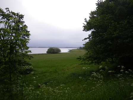 Lergraven i morgenlys 100615_mariager_lergrav