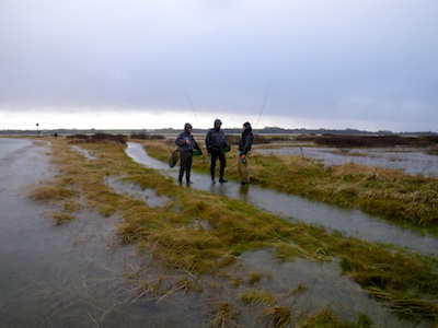 101113_vand_vand_fur