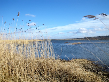 110322_bredningen