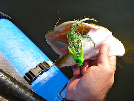 111112_gedde_gudenaa