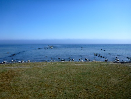 120414_skillinge4