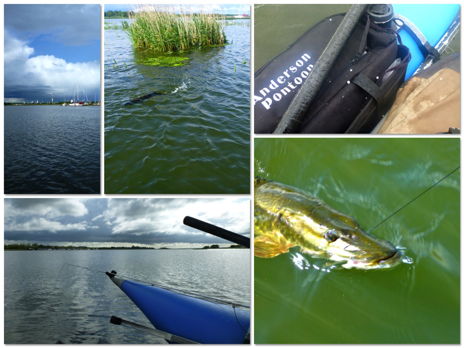 120602_bredningen