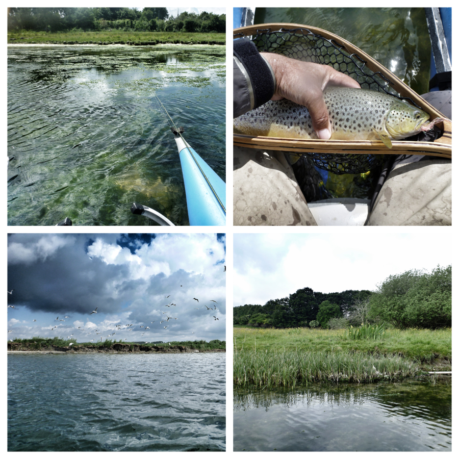 120616_mariager_fjord_yderfjord