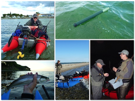 Æbelø 2012 med Mong 120622_apel_oe2