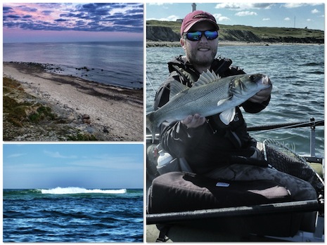 120815_Hirtshals_havbars