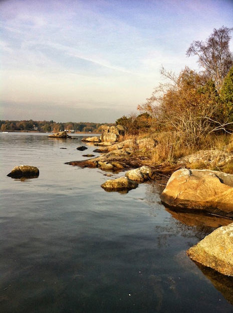 121019_pukavig9