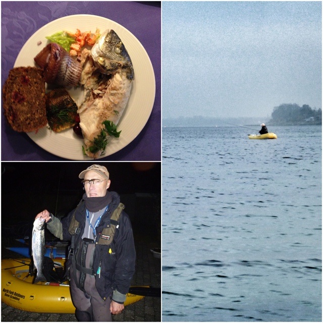 121116_stevns