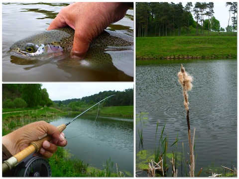 Mølledammen 130521 molledammen