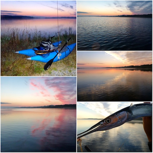 Morgenstemning ved Mariager Fjord 130725 mariager kongsdal web
