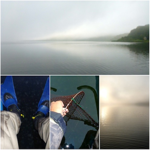 Morgenstemning ved Mariager Fjord 130802 Mariager Hobro