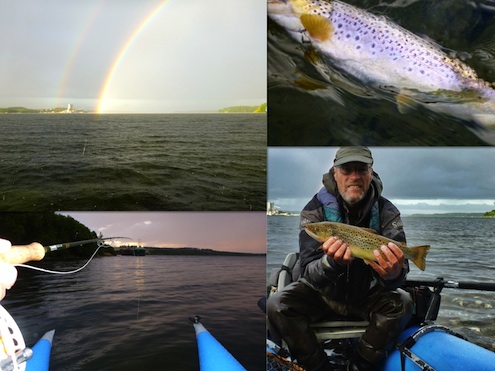 Mariager Fjord 130814 mager vive