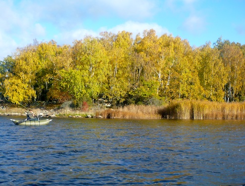 131018 puka bromolle3