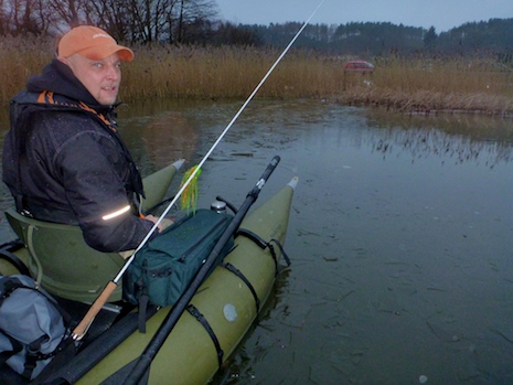 Tange Sø 131208 tange