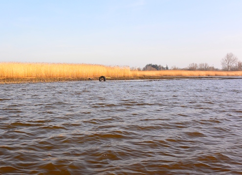 140309 bredningen lavt vand