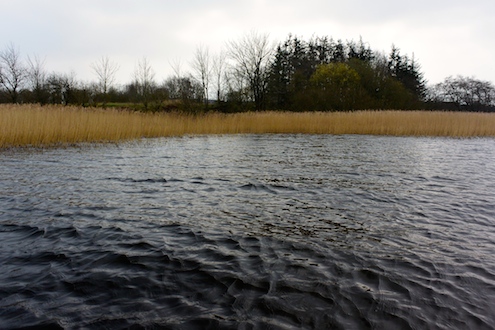 140328 glenstrup1