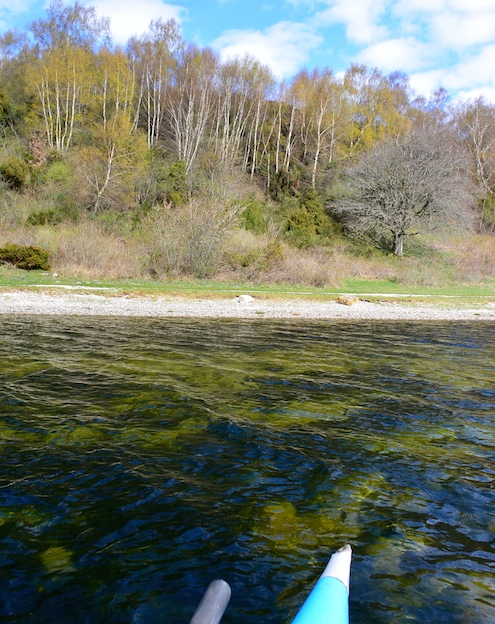 Mariager Fjord 140411 bramslev loevspring vand