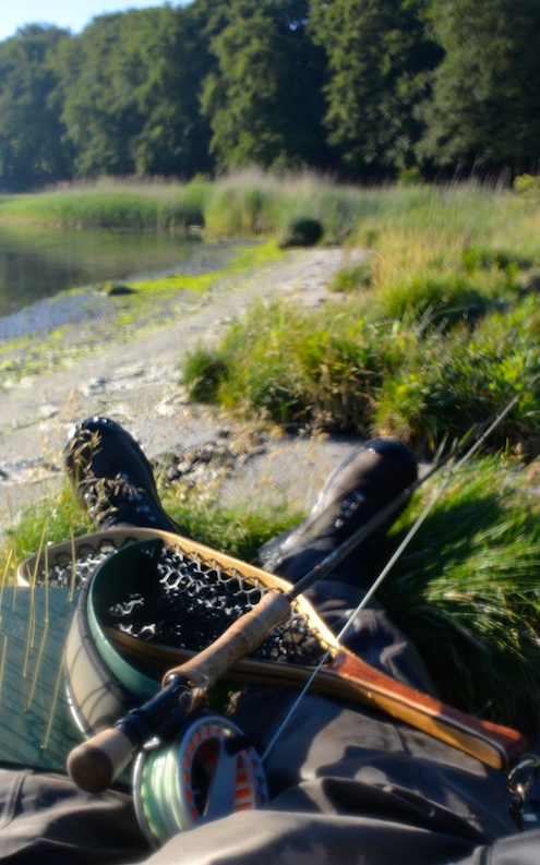 140609 ornedalen2