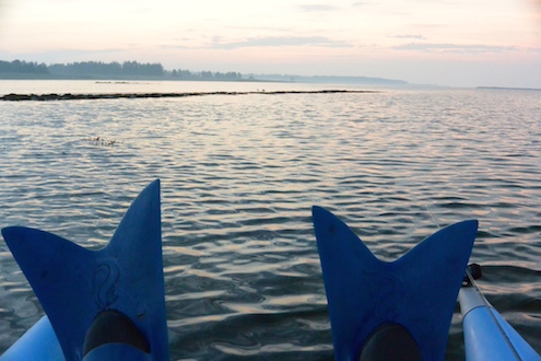 Randers Fjord ved Udbyhøj 140611 udbyhoj morgen