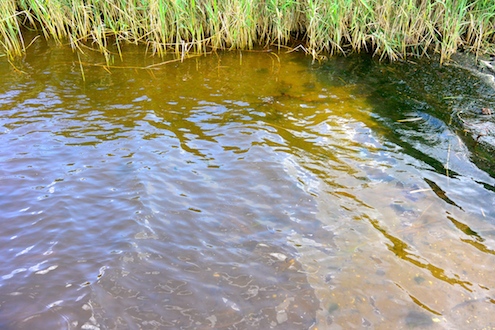 140815 mariager farvet vand