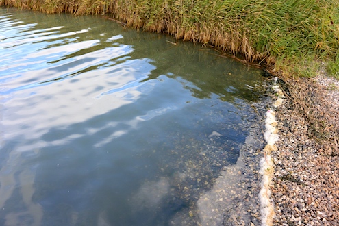 140815 mariager graet vand