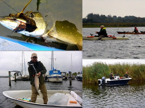 Dronningborg Bredning 140830 bredning