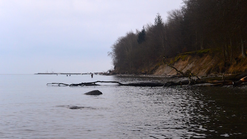 Bøgeskoven 150118 boegeskov fiskere