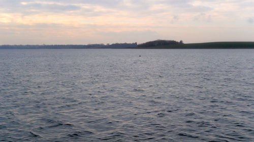 150131 knebel vig2