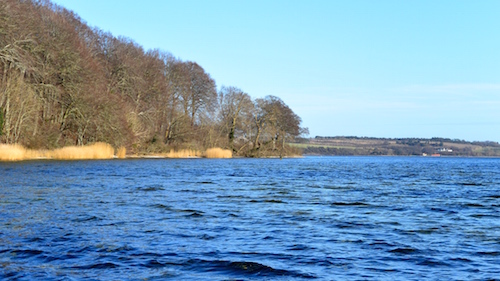 Mariager Fjord 150208 vive1