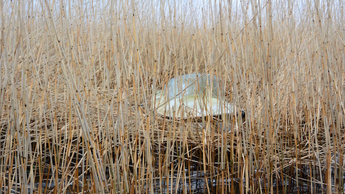 Skydepram 150213 bredningen1